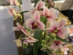 -施奈儿.洗头頭療.按摩SPA.采耳(上梅林店)