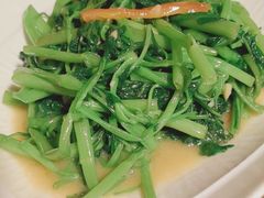 -李记潮汕砂锅粥(营福路店)