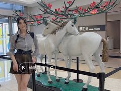 -红星美凯龙北京至尊MALL(东四环中路店)