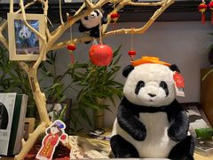 -轩客会(熊猫书店)