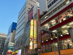 -秋叶原电器街
