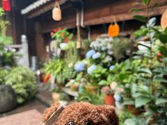 -龙姐私房菜(和顺古镇店)