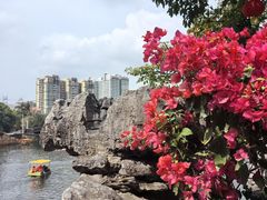 -荔湾湖公园
