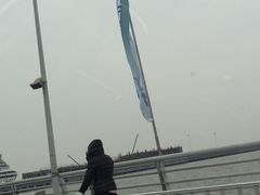 -吴淞口国际邮轮码头-停车场