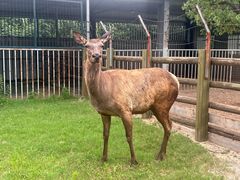 -苏州太湖西山岛开心农场