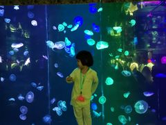 -大明湖海底世界