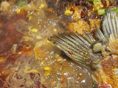 -金厨帽烤鱼(芦庄店)