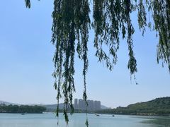 -济南国际园博园