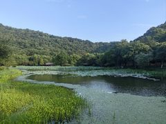 -八卦田遗址公园