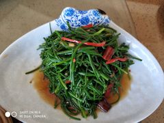 -哈啾嗨·蒙文化主题餐厅(京汉新城店)