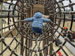 -枫香湖儿童公园