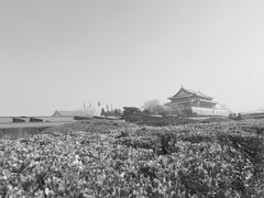 -金百万(亦庄店)
