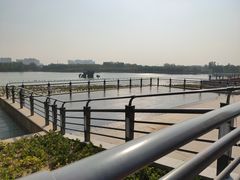 -大兴滨河森林公园