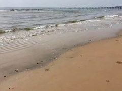 -日照海滨国家森林公园