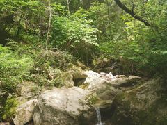-王顺山国家森林公园