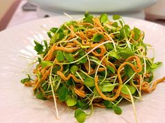 凉拌卤干丝拌香椿-喜鼎海胆水饺(平安金融中心店)