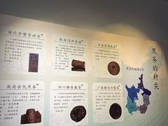 -羊楼洞