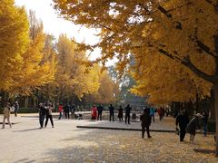 -玲珑塔公园
