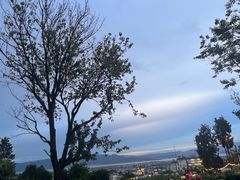 -云禾壹海景庄园餐厅