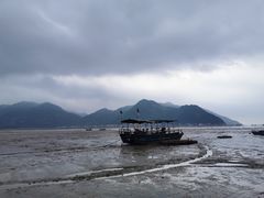 -北岐滩涂