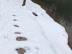 -南京市无想山景区