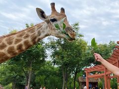 -济南野生动物世界