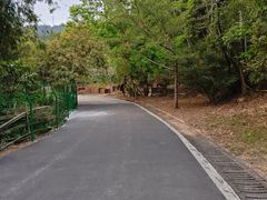 -田心森林公园