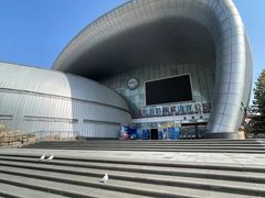 -烟台海昌鲸鲨海洋公园