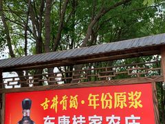 -东康桂家农庄