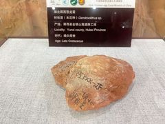 -西峡恐龙遗迹园