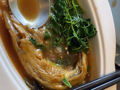 -沈灶河豚宴·河豚融合餐厅(汉中路店)