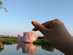 -乌村