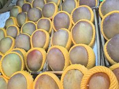-三亚新鸿港水果一级批发市场