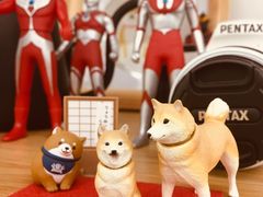 景观位-Onirii Coffee(长乐路店)
