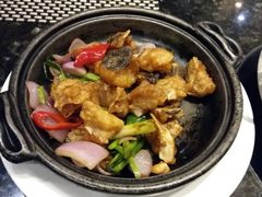 -新兴·金羊座·粤菜点心(乐峰店)
