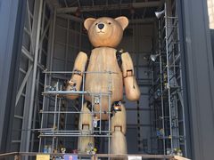 -济州岛泰迪熊博物馆