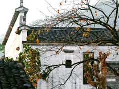 -塔川景区