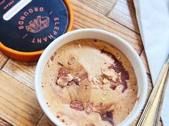 -Elephant Grounds(STARSTREET)