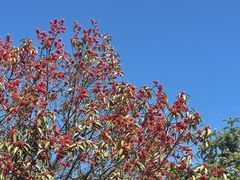 -南京市无想山景区