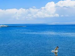 -青海湖国家重点风景名胜区