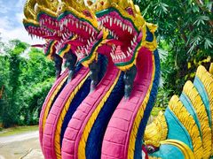 -瑞丽独树成林风景区