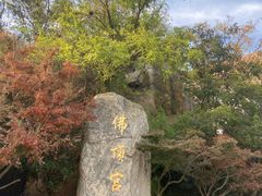 -牛首山文化旅游区