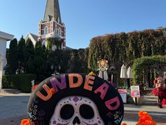 -大连海昌发现王国主题公园