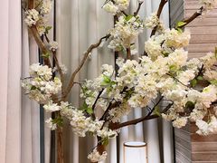 -云中漫步·足疗养生会馆(金开店)