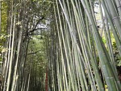 -竹泉村旅游度假区