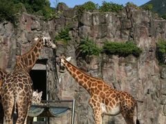 -青藏高原野生动物园
