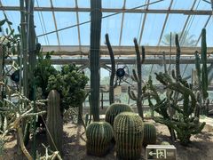 -南山植物园