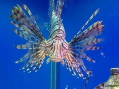 -海合安武汉极地海洋公园