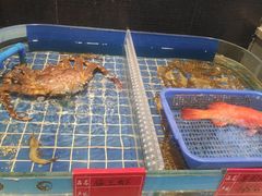 -渔歌雅宴·渔鲜烤鸭(北京西站店)