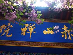 -石岛赤山风景区